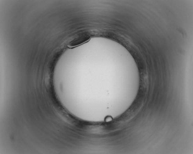 X0000113750266200910141033