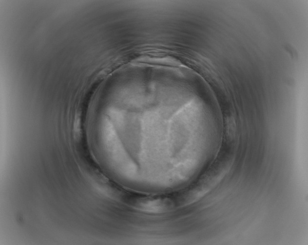 X0000113750267200910141033