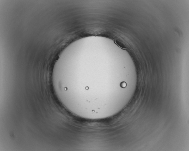 X0000113750268200910141033