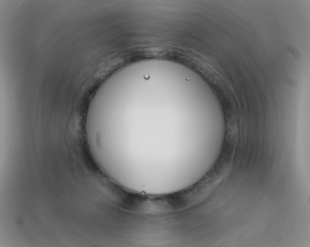 X0000113750270200910141033