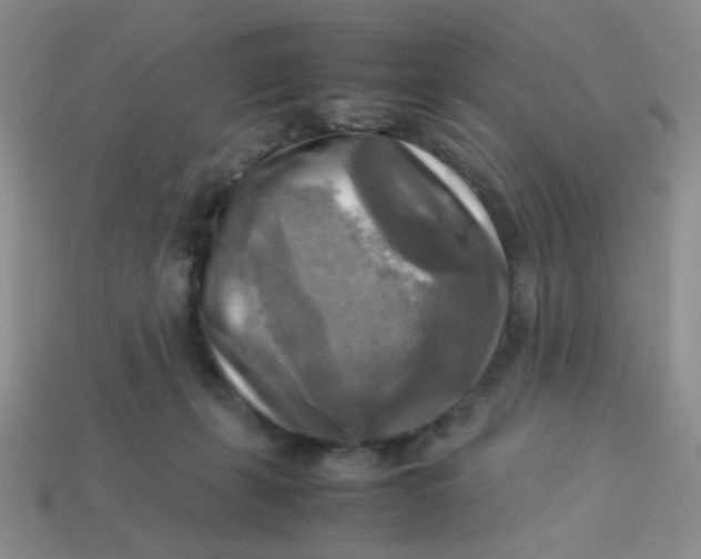 X0000113750271200910141033