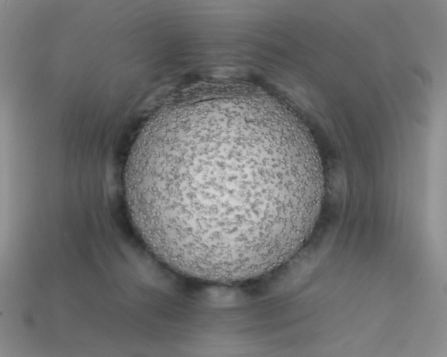 X0000113750272200910141033