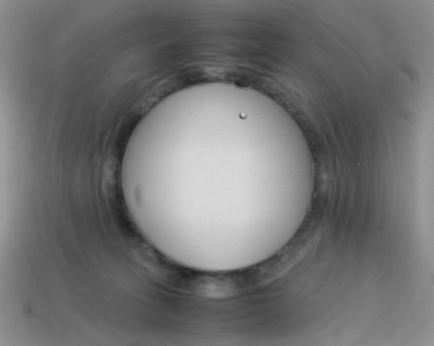 X0000113750275200910141033