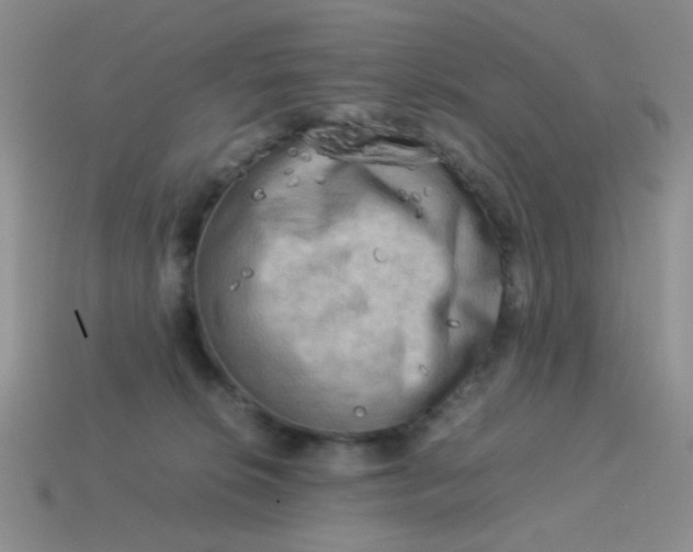 X0000113750276200910141033