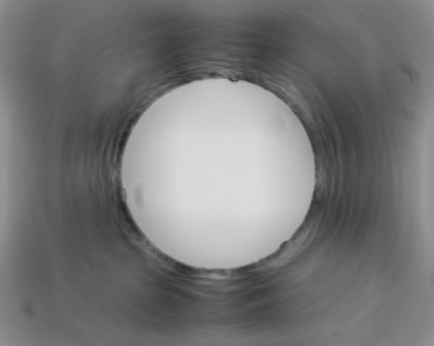 X0000113750285200910141033