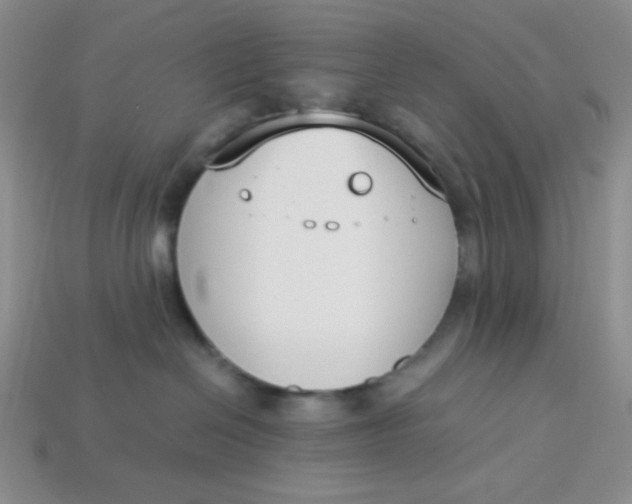 X0000113750286200910141033