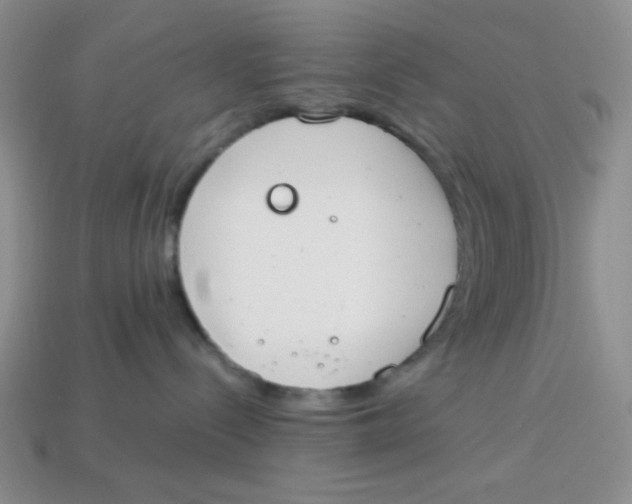 X0000113750288200910141033