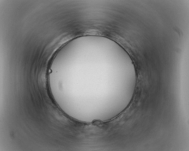 X0000113750290200910141032