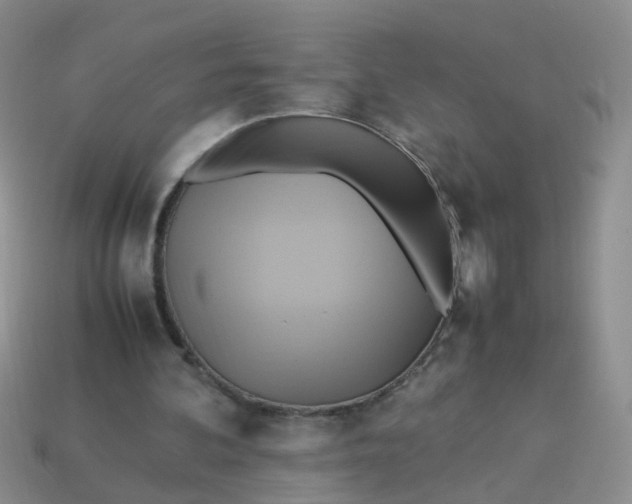 X0000113750292200910141032