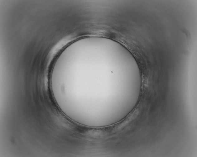 X0000113750294200910141032