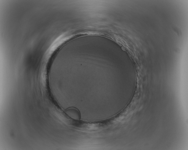 X0000113750295200910141032