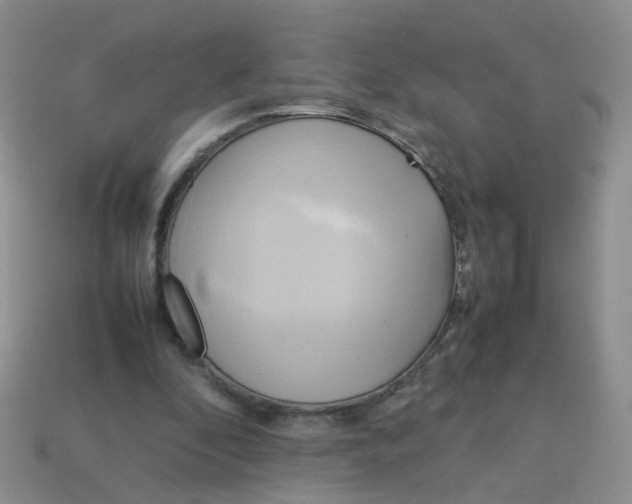 X0000113750296200910141032