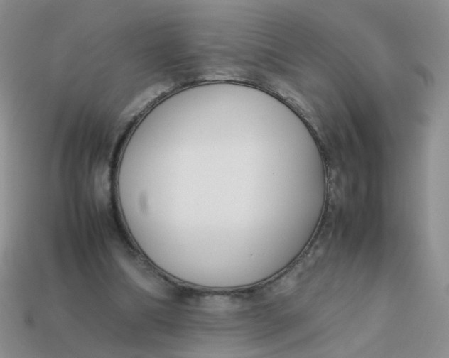 X0000113750298200910141032