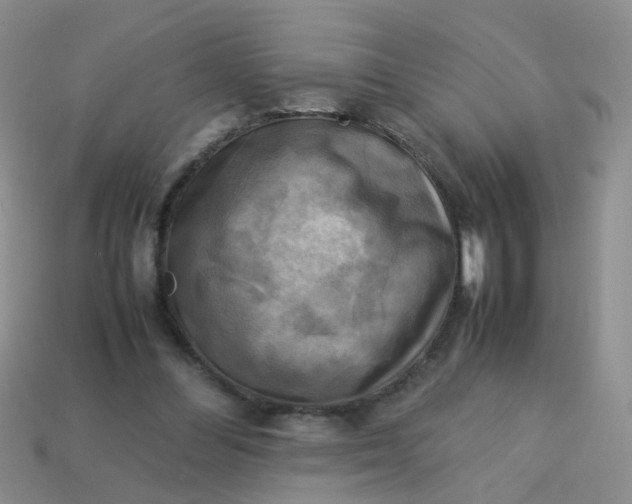 X0000113750300200910141032