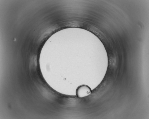 X0000113750302200910141032