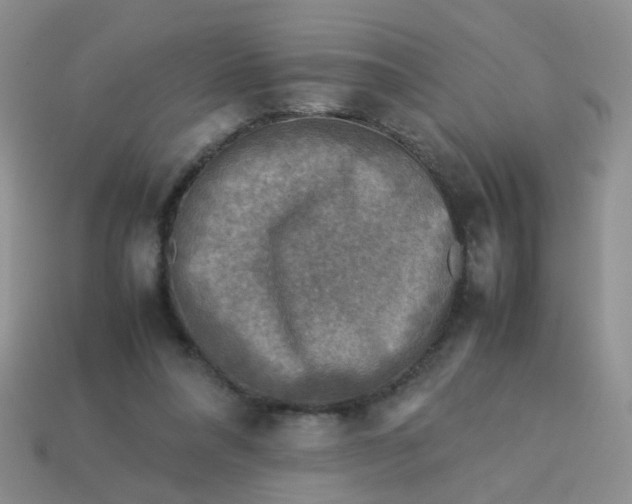 X0000113750304200910141032