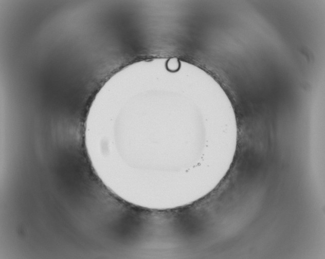 X0000113750305200910141032