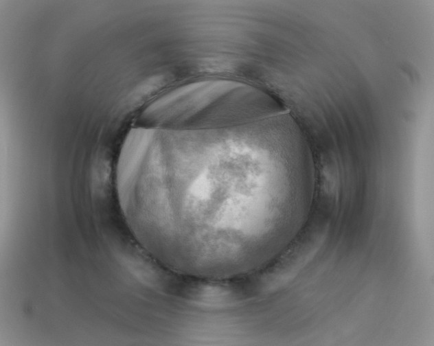 X0000113750308200910141032