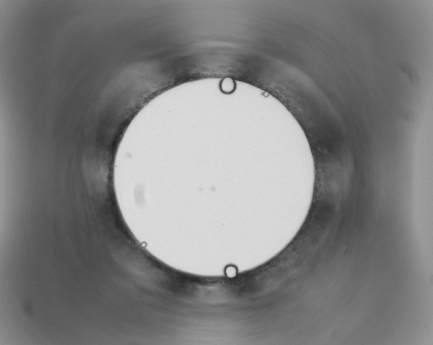 X0000113750309200910141032