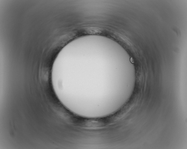 X0000113750315200910141032