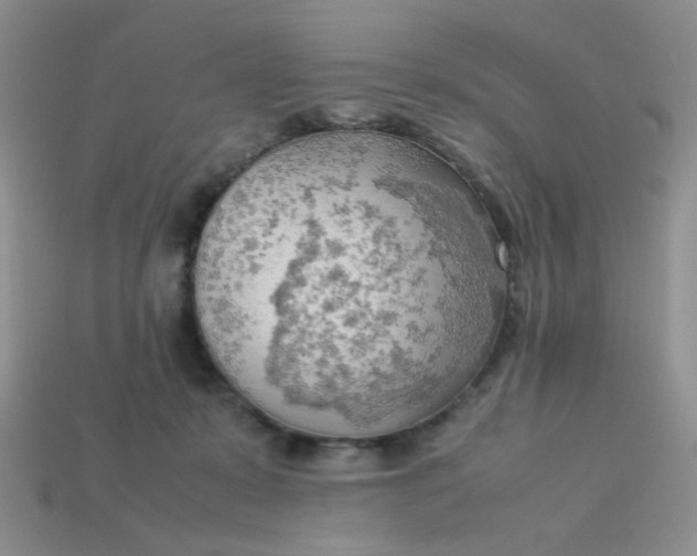 X0000113750319200910141032