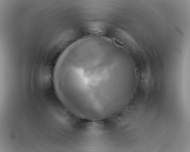 X0000113750320200910141032