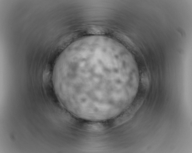 X0000113750322200910141032