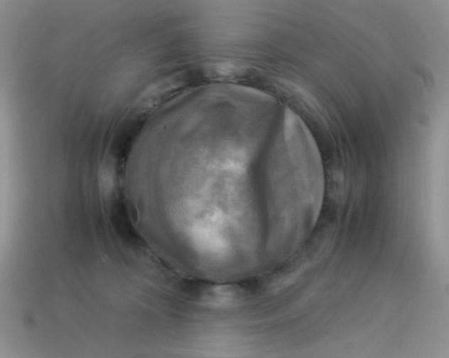 X0000113750324200910141032