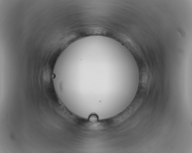 X0000113750326200910141032