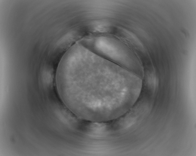 X0000113750328200910141032