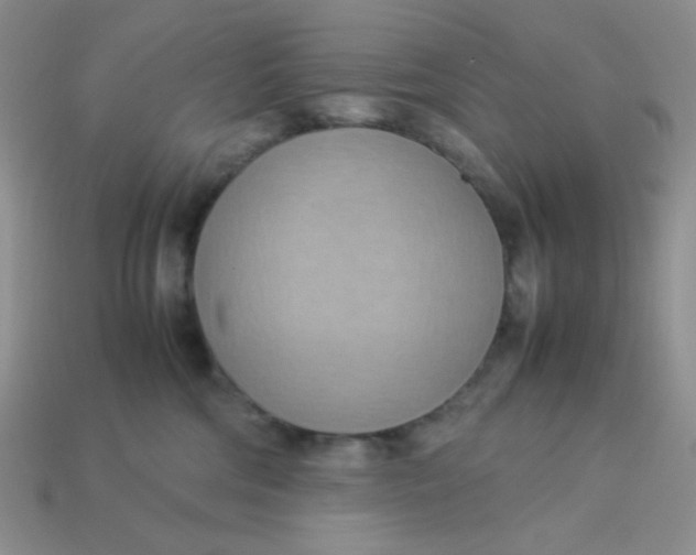 X0000113750330200910141032