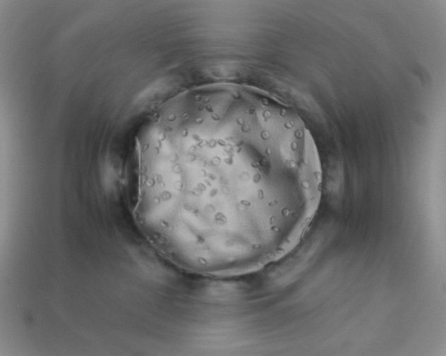 X0000113750332200910141032