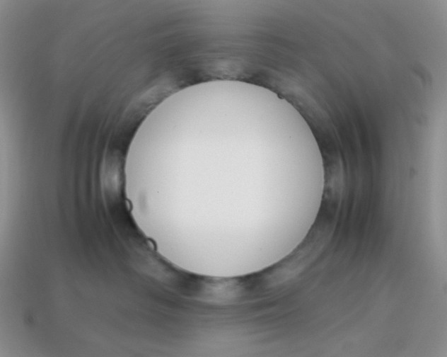 X0000113750334200910141032