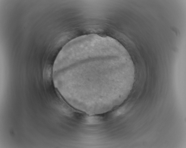 X0000113750336200910141032