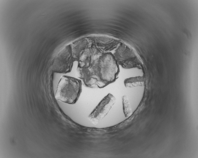 X0000113750337200910141031