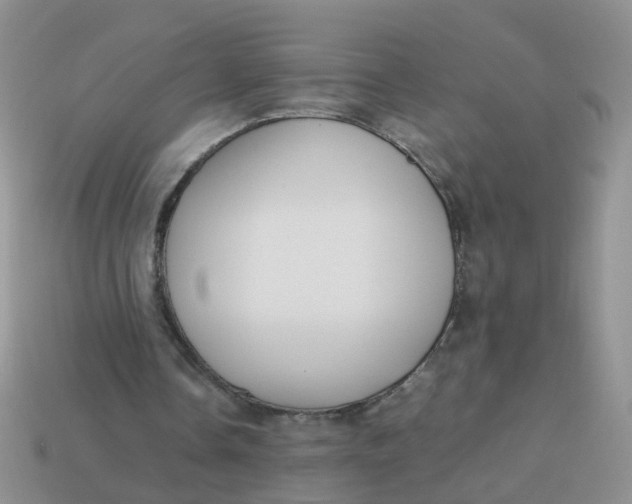 X0000113750338200910141031