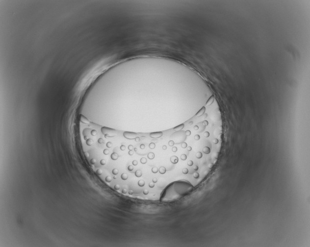 X0000113750341200910141031