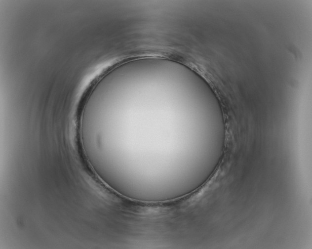 X0000113750342200910141031