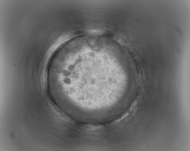 X0000113750343200910141031