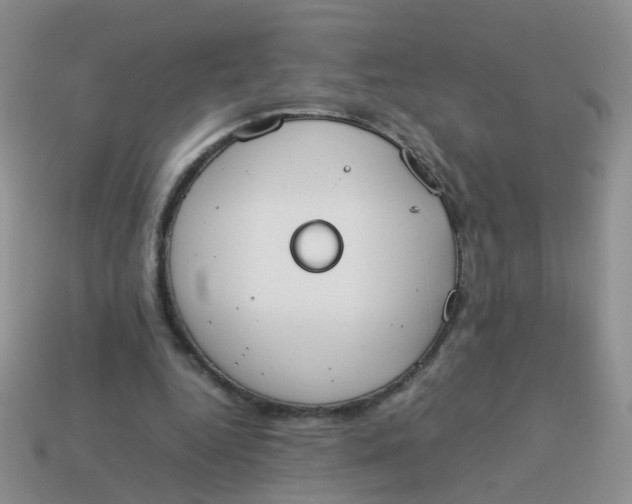 X0000113750344200910141031