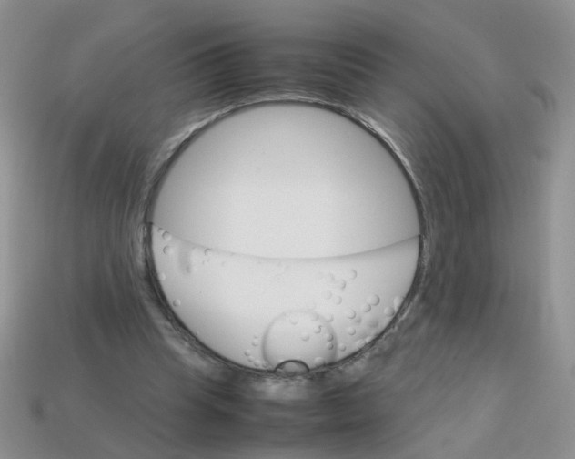 X0000113750345200910141031