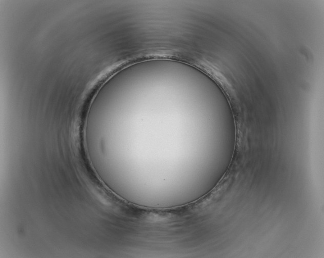 X0000113750346200910141031