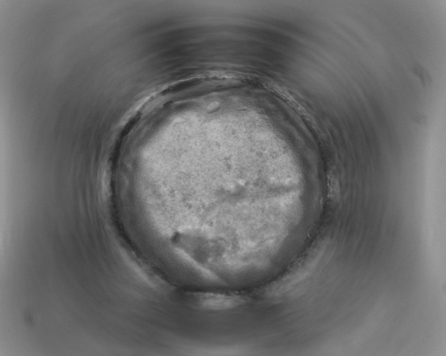 X0000113750347200910141031