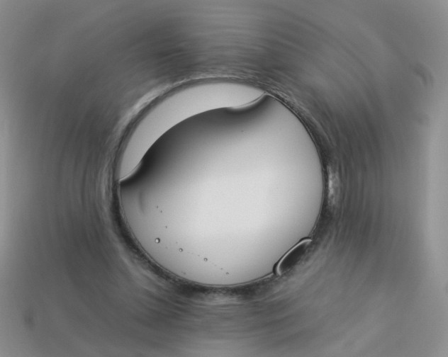 X0000113750348200910141031