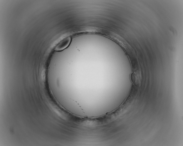 X0000113750350200910141031