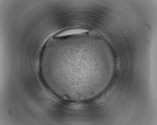 X0000113750351200910141031