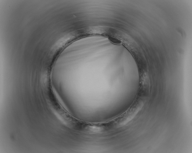 X0000113750352200910141031