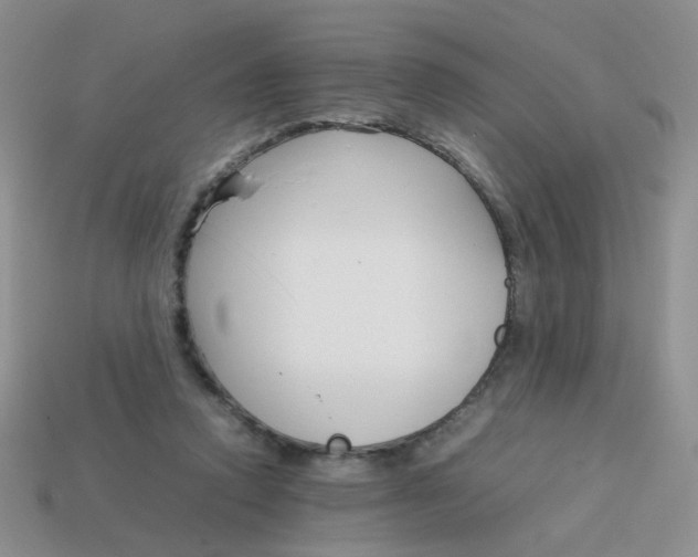 X0000113750354200910141031