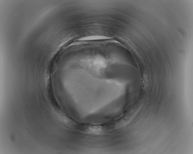 X0000113750355200910141031