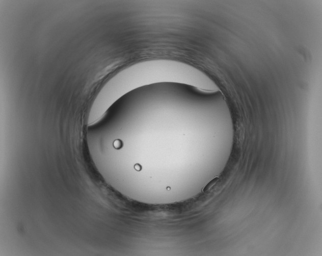 X0000113750356200910141031